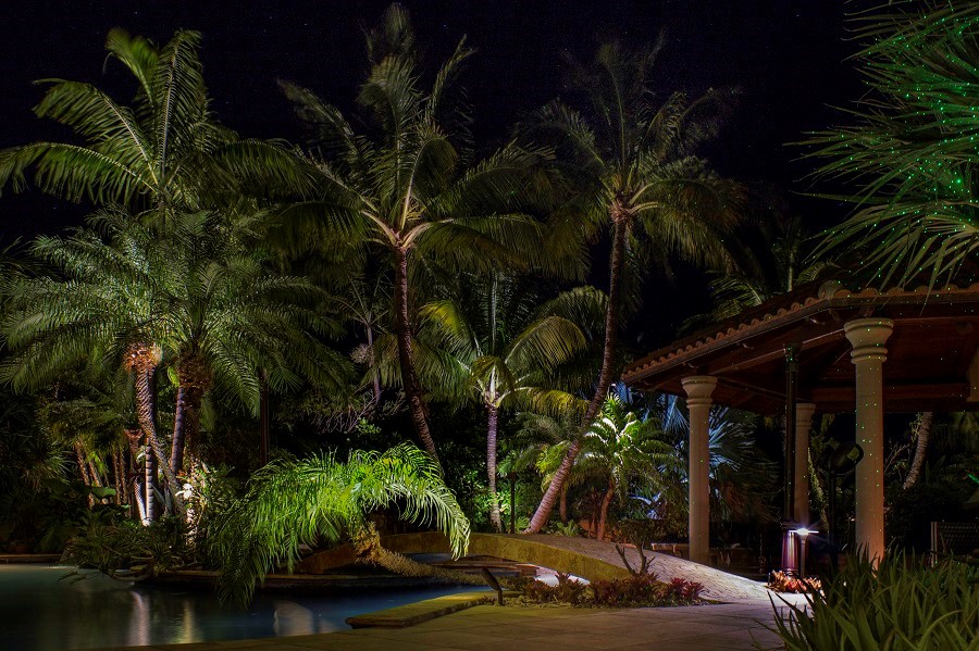 5 Steps to a Successful Landscape Lighting System